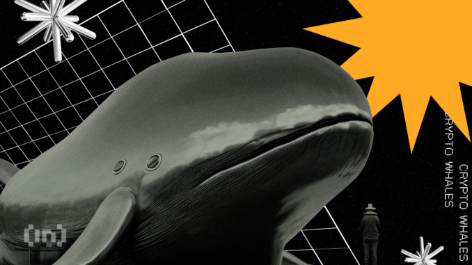 Bitcoin Whales Buy 57K BTC Amid Crypto Market Downturn Bitcoin Whales Add 57,578 BTC Amidst Crypto Market Downturn