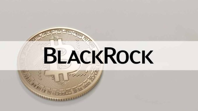 Institutional Adoption of DeFi is 'Many Years Away,' Says BlackRock Executive