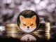 Record-Breaking 1.6 Trillion SHIB Transaction Volume Boosts Shiba Inu Market Activity