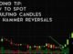 Trading Tip #13: How to Spot Engulfing Candles and Hammer Reversals