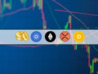 ETH, XRP, ADA, SHIB, and DOGE