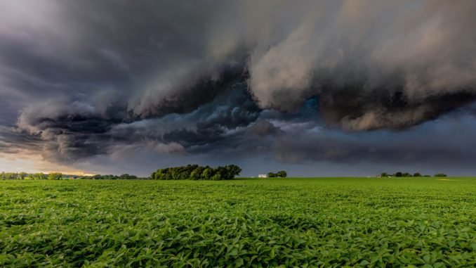 Privacy Mixer Tornado Cash Is an Entity, Judge Says Privacy Mixer Tornado Cash Is an Entity, Judge Says