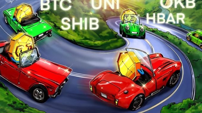 SHIB, UNI, OKB and HBAR flash bullish signs as Bitcoin volatility hits record low