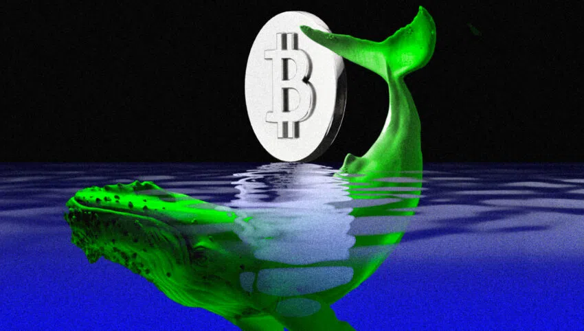 Will Whales Trigger Bitcoin (BTC) Price Rally Ahead of Fed Meeting? 