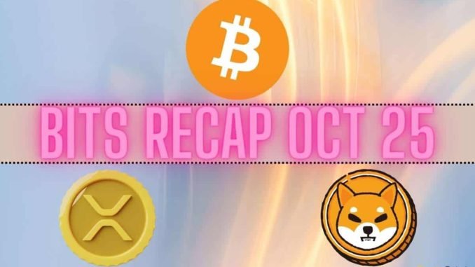 Bitcoin (BTC) Price Explosion, Ripple (XRP) Developments, Shiba Inu (SHIB) Burn Rate: Bits Recap Oct 25