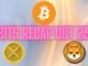 Bitcoin (BTC) Price Explosion, Ripple (XRP) Developments, Shiba Inu (SHIB) Burn Rate: Bits Recap Oct 25