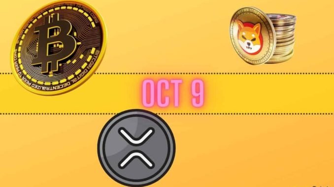 Bitcoin Price Predictions, XRP Targets, and Shiba Inu Issues: Bits Recap Oct 9