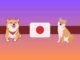 Shiba Inu (SHIB) to Get Listed on Popular Japanese Crypto Exchange: Here's When