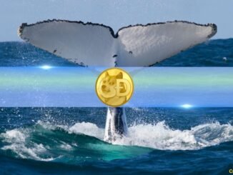 Whale Activity Backs Dogecoin's (DOGE) Surge Above $0.16: Data